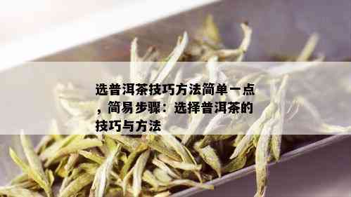 选普洱茶技巧方法简单一点，简易步骤：选择普洱茶的技巧与方法