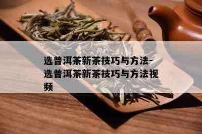 选普洱茶新茶技巧与方法-选普洱茶新茶技巧与方法视频