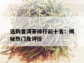 选购普洱茶排行前十名：揭秘热门及评价