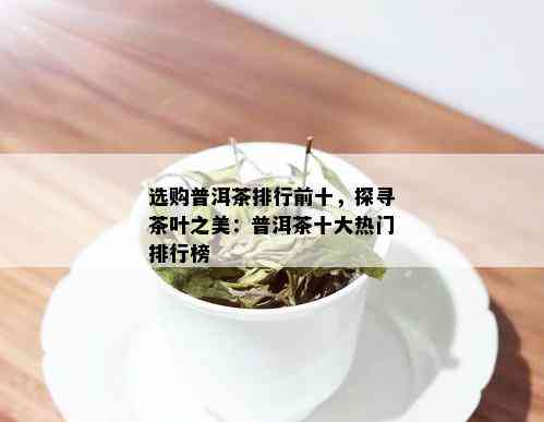 选购普洱茶排行前十，探寻茶叶之美：普洱茶十大热门排行榜