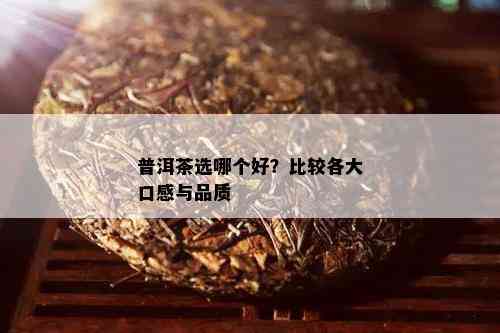 普洱茶选哪个好？比较各大口感与品质