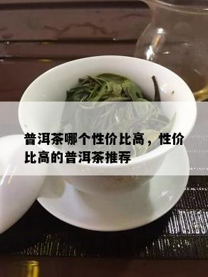 普洱茶哪个性价比高，性价比高的普洱茶推荐