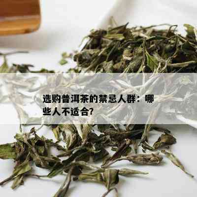 选购普洱茶的禁忌人群：哪些人不适合？