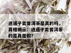 逍遥子卖普洱茶是真的吗，真相揭示：逍遥子卖普洱茶的是真是假？