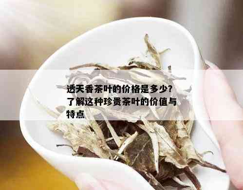 透天香茶叶的价格是多少？了解这种珍贵茶叶的价值与特点