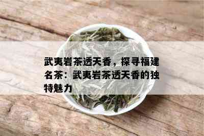 武夷岩茶透天香，探寻福建名茶：武夷岩茶透天香的独特魅力