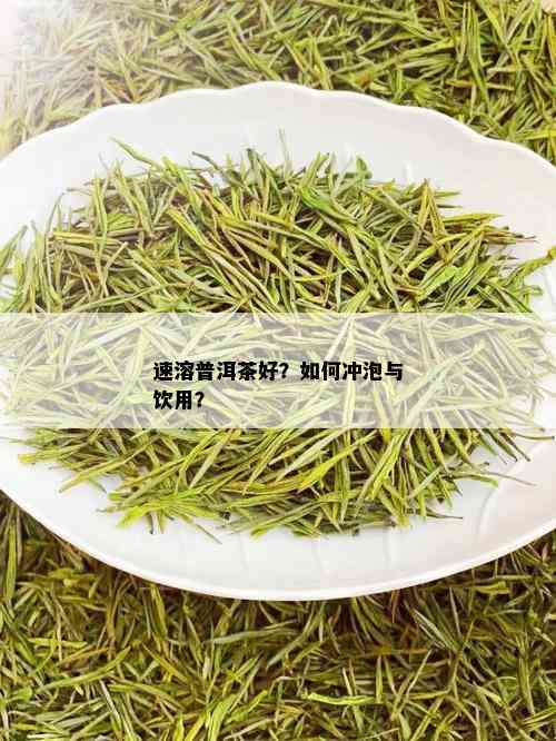 速溶普洱茶好？如何冲泡与饮用？