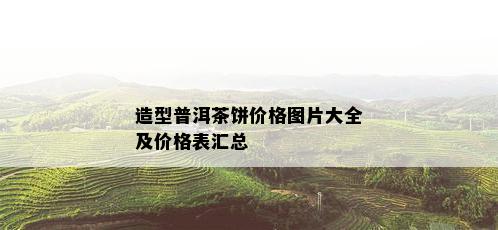 造型普洱茶饼价格图片大全及价格表汇总