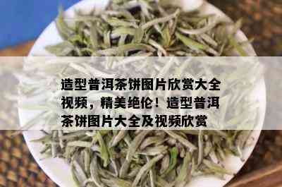 造型普洱茶饼图片欣赏大全视频，精美绝伦！造型普洱茶饼图片大全及视频欣赏