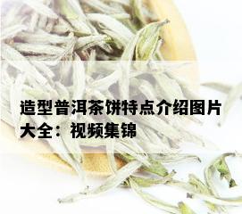 造型普洱茶饼特点介绍图片大全：视频集锦