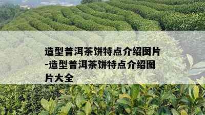 造型普洱茶饼特点介绍图片-造型普洱茶饼特点介绍图片大全