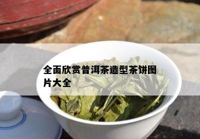 全面欣赏普洱茶造型茶饼图片大全