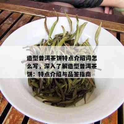 造型普洱茶饼特点介绍词怎么写，深入了解造型普洱茶饼：特点介绍与品鉴指南