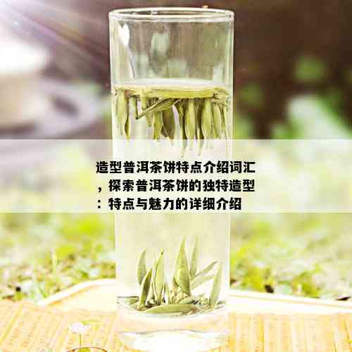 造型普洱茶饼特点介绍词汇，探索普洱茶饼的独特造型：特点与魅力的详细介绍