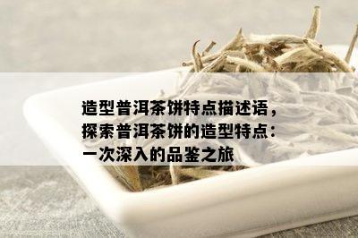 造型普洱茶饼特点描述语，探索普洱茶饼的造型特点：一次深入的品鉴之旅