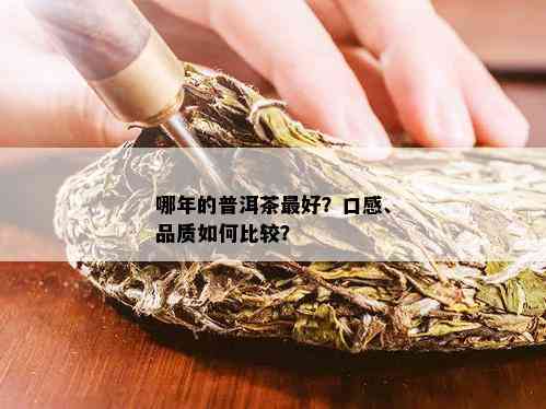 哪年的普洱茶更好？口感、品质如何比较？