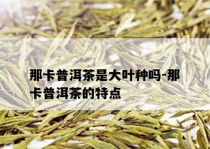 那卡普洱茶是大叶种吗-那卡普洱茶的特点