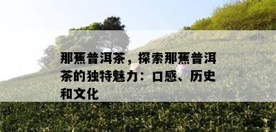 那蕉普洱茶，探索那蕉普洱茶的独特魅力：口感、历史和文化