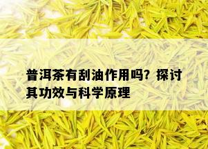 普洱茶有刮油作用吗？探讨其功效与科学原理