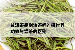 普洱茶是刮油茶吗？探讨其功效与绿茶的区别