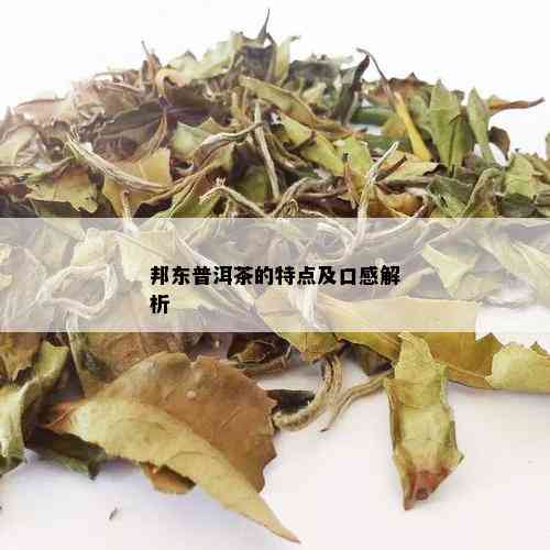 邦东普洱茶的特点及口感解析