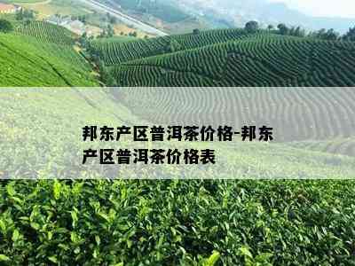 邦东产区普洱茶价格-邦东产区普洱茶价格表