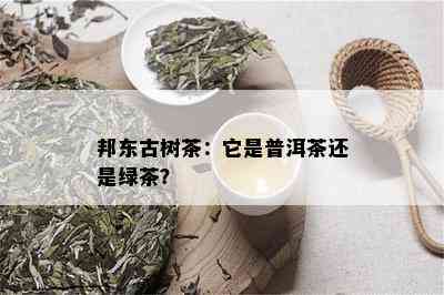 邦东古树茶：它是普洱茶还是绿茶？