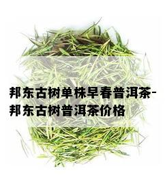 邦东古树单株早春普洱茶-邦东古树普洱茶价格