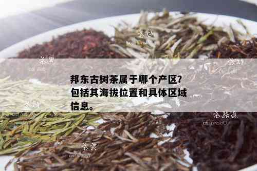 邦东古树茶属于哪个产区？包括其海拔位置和具体区域信息。