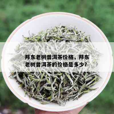 邦东老树普洱茶价格，邦东老树普洱茶的价格是多少？