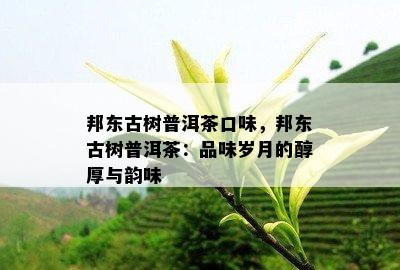 邦东古树普洱茶口味，邦东古树普洱茶：品味岁月的醇厚与韵味