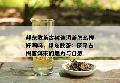 邦东散茶古树普洱茶怎么样好喝吗，邦东散茶：探寻古树普洱茶的魅力与口感