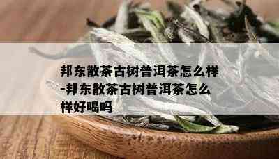 邦东散茶古树普洱茶怎么样-邦东散茶古树普洱茶怎么样好喝吗