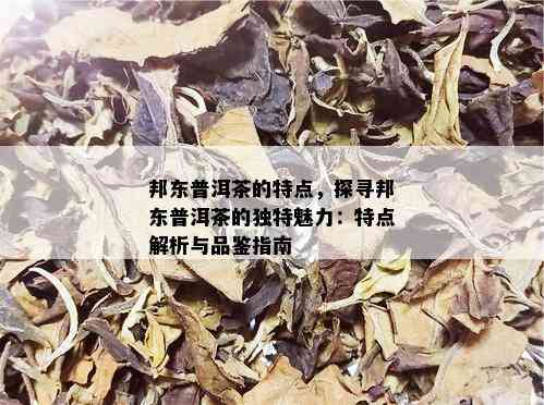 邦东普洱茶的特点，探寻邦东普洱茶的独特魅力：特点解析与品鉴指南