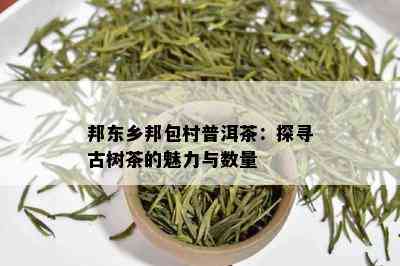 邦东乡邦包村普洱茶：探寻古树茶的魅力与数量