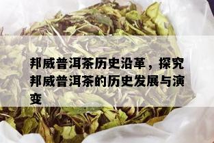 邦威普洱茶历史沿革，探究邦威普洱茶的历史发展与演变