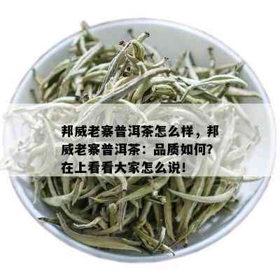 邦威老寨普洱茶怎么样，邦威老寨普洱茶：品质如何？在上看看大家怎么说！