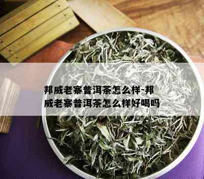 邦威老寨普洱茶怎么样-邦威老寨普洱茶怎么样好喝吗