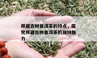 邦崴古树普洱茶的特点，探究邦崴古树普洱茶的独特魅力