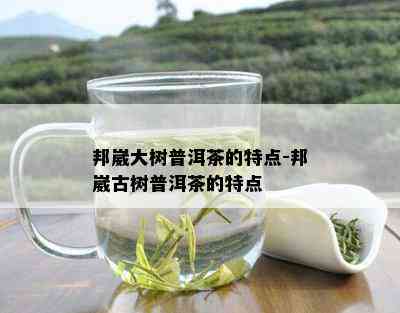 邦崴大树普洱茶的特点-邦崴古树普洱茶的特点