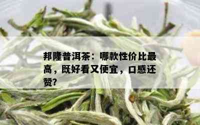 邦隆普洱茶：哪款性价比更高，既好看又便宜，口感还赞？