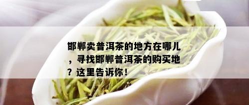 邯郸卖普洱茶的地方在哪儿，寻找邯郸普洱茶的购买地？这里告诉你！