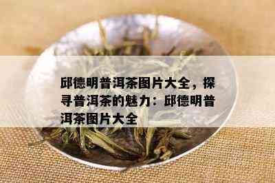 邱德明普洱茶图片大全，探寻普洱茶的魅力：邱德明普洱茶图片大全