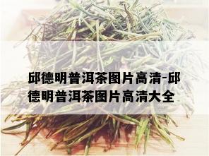 邱德明普洱茶图片高清-邱德明普洱茶图片高清大全