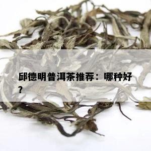 邱德明普洱茶推荐：哪种好？