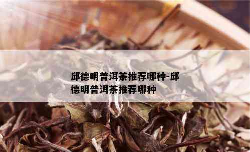 邱德明普洱茶推荐哪种-邱德明普洱茶推荐哪种