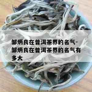 邹炳良在普洱茶界的名气-邹炳良在普洱茶界的名气有多大