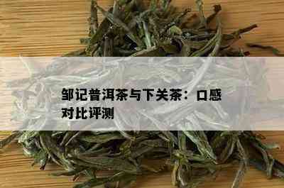 邹记普洱茶与下关茶：口感对比评测