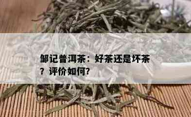 邹记普洱茶：好茶还是坏茶？评价如何？