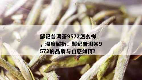 邹记普洱茶9572怎么样，深度解析：邹记普洱茶9572的品质与口感如何？